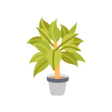 Çin Evergreen ikonu. Logotype