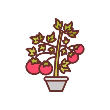 Vektör olarak domates bitkisi simgesi. Logotype