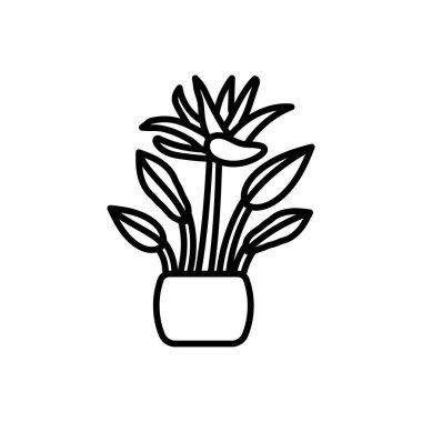 Turna çiçeği simgesi vektörde. Logotype