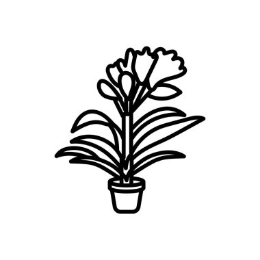 Vektör olarak Clivia Miniata simgesi. Logotype
