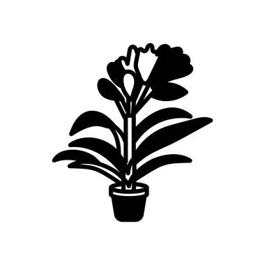 Vektör olarak Clivia Miniata simgesi. Logotype