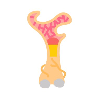 Vektör olarak kemik iliği simgesi. Logotype