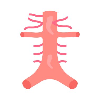 Vektör olarak karın atardamarları simgesi. Logotype