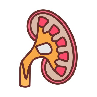 Renal Pelvis simgesi vektörde. Logotype