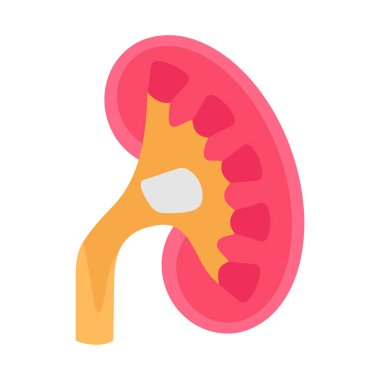 Renal Pelvis simgesi vektörde. Logotype