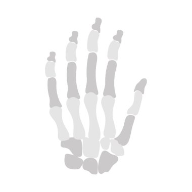 Vektör olarak el kemiği simgesi. Logotype