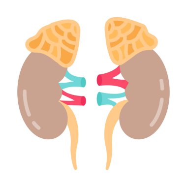 Vektör olarak Adrenal Bez simgesi. Logotype