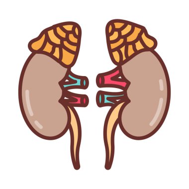 Vektör olarak Adrenal Bez simgesi. Logotype