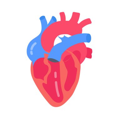 Kalp Kan Dolaşım ikonu vektörde. Logotype