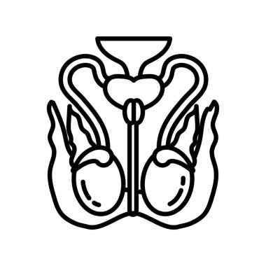 Testicle Nerve icon in vector. Logotype