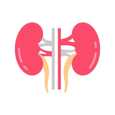 Böbrek ikonu. Logotype