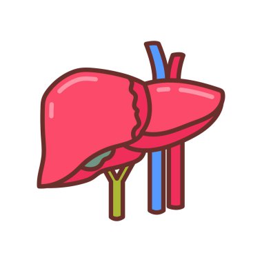 Vektör olarak karaciğer simgesi. Logotype