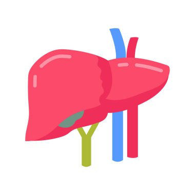 Vektör olarak karaciğer simgesi. Logotype