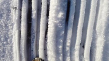 Kuzey Avrupa 'da kristalize kar üzerinde ayak izleri Ocak ayının güneşli bir sabahında.