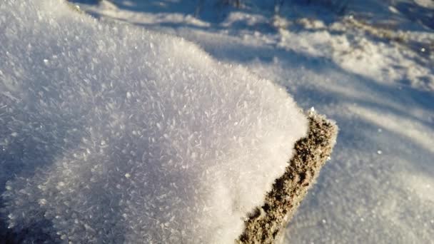 Nieve Cristalizada Norte Europa Una Mañana Soleada Enero — Vídeo de stock