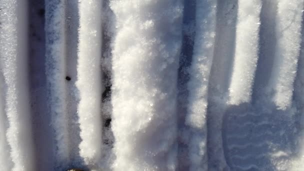 Αποτυπώματα Ποδιών Στο Κρυσταλλωμένο Χιόνι Της Βόρειας Ευρώπης Ένα Ηλιόλουστο — Αρχείο Βίντεο