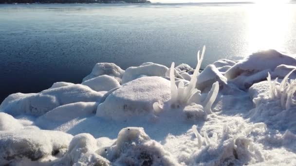 Παγωμένη Ακτή Της Βόρειας Ευρώπης Ένα Ηλιόλουστο Πρωινό Του Ιανουαρίου — Αρχείο Βίντεο