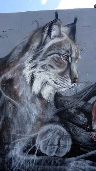 Stockholm, İsveç, 3 Haziran 2025. Bahar canavarı. Şehrin kenar mahallelerinde grafiti sergisi. Luchs.