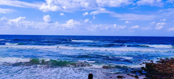 stock image Seashore with sky , cloud & rocks in Alexandria Egypt