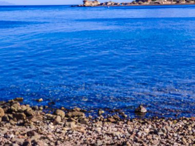 Beautiful Oasis in the desert beside the seashore with palm and mountain view in Dahab Egypt