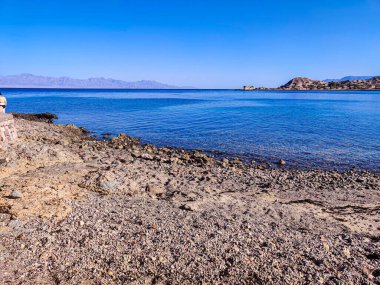 Beautiful Oasis in the desert beside the seashore with palm and mountain view in Dahab Egypt