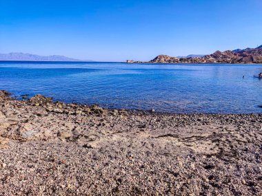 Beautiful Oasis in the desert beside the seashore with palm and mountain view in Dahab Egypt