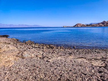 Beautiful Oasis in the desert beside the seashore with palm and mountain view in Dahab Egypt