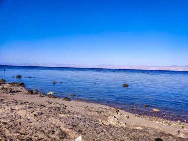 Beautiful Oasis in the desert beside the seashore with palm and mountain view in Dahab Egypt