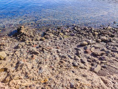 Beautiful Oasis in the desert beside the seashore with palm and mountain view in Dahab Egypt