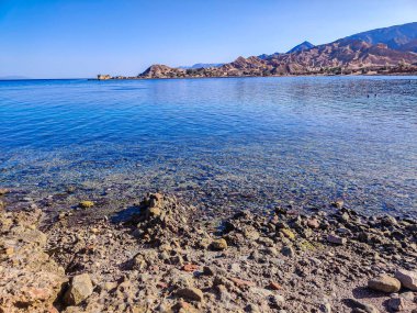 Beautiful Oasis in the desert beside the seashore with palm and mountain view in Dahab Egypt
