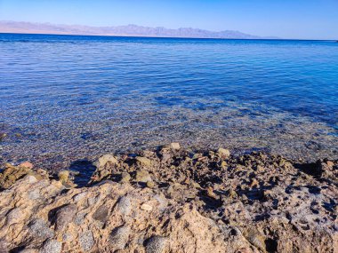 Beautiful Oasis in the desert beside the seashore with palm and mountain view in Dahab Egypt