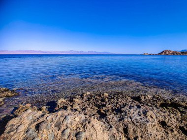 Beautiful Oasis in the desert beside the seashore with palm and mountain view in Dahab Egypt