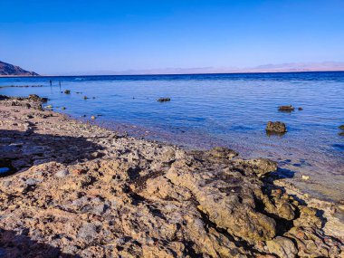 Beautiful Oasis in the desert beside the seashore with palm and mountain view in Dahab Egypt