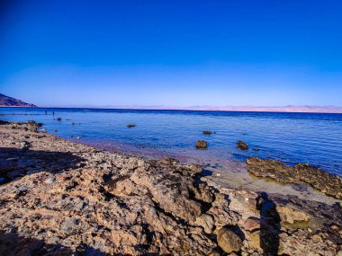 Beautiful Oasis in the desert beside the seashore with palm and mountain view in Dahab Egypt