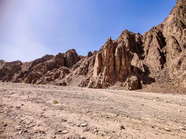 Beautiful Oasis in the desert with palm and mountain view in Dahab Egypt
