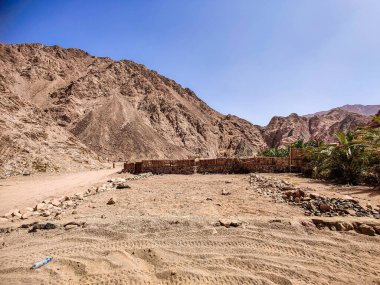 Beautiful Oasis in the desert with palm and mountain view in Dahab Egypt