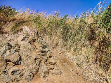 Beautiful Oasis in the desert with palm and mountain view in Dahab Egypt