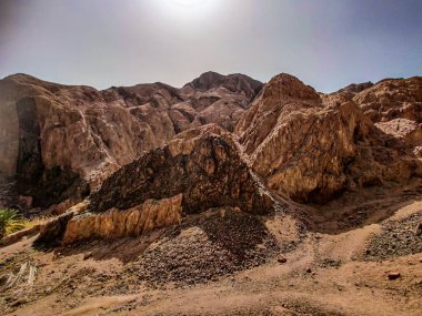 Beautiful Oasis in the desert beside the seashore with palm and mountain view in Dahab Egypt