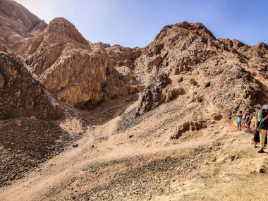 Beautiful Oasis in the desert with palm and mountain view in Dahab Egypt