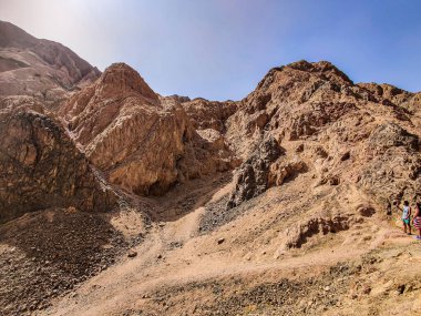 Beautiful Oasis in the desert with palm and mountain view in Dahab Egypt