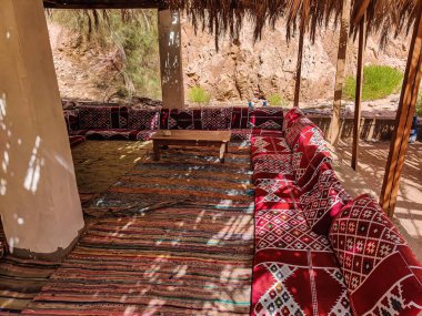 Beautiful Oasis in the desert with palm and mountain view in Dahab Egypt