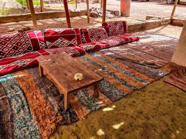 Beautiful Oasis in the desert with palm and mountain view in Dahab Egypt