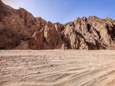 Beautiful Oasis in the desert beside the seashore with palm and mountain view in Dahab Egypt