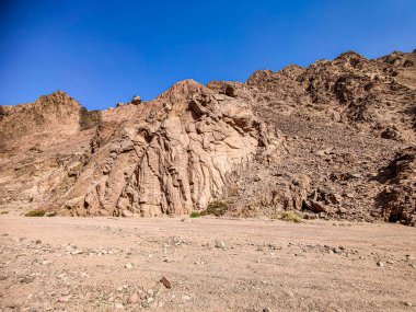Beautiful Oasis in the desert beside the seashore with palm and mountain view in Dahab Egypt