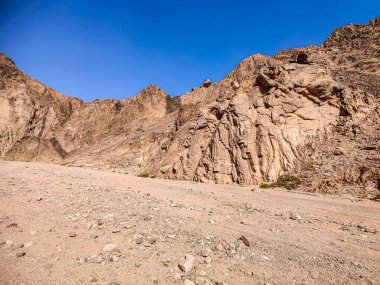 Beautiful Oasis in the desert beside the seashore with palm and mountain view in Dahab Egypt