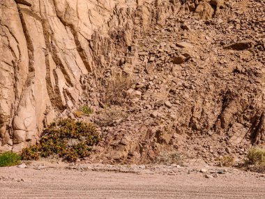 Beautiful Oasis in the desert beside the seashore with palm and mountain view in Dahab Egypt