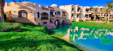 Göl kenarında güneşli bir gün, göl manzaralı renkli çiçeklerle yaz ortası.