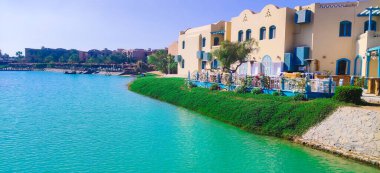 Göl kenarında güneşli bir gün, göl manzaralı renkli çiçeklerle yaz ortası.