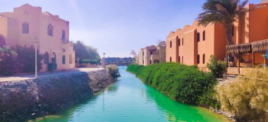 Göl kenarında güneşli bir gün, göl manzaralı renkli çiçeklerle yaz ortası.