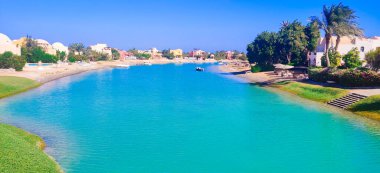 Göl kenarında güneşli bir gün, göl manzaralı renkli çiçeklerle yaz ortası.